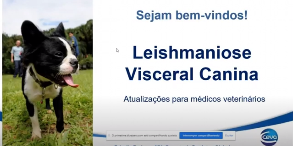 capa webinar_lvc